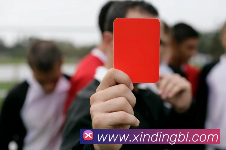 企业概况